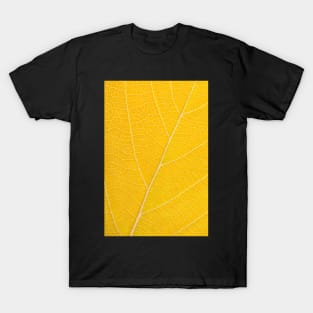 Autumn Leaf T-Shirt